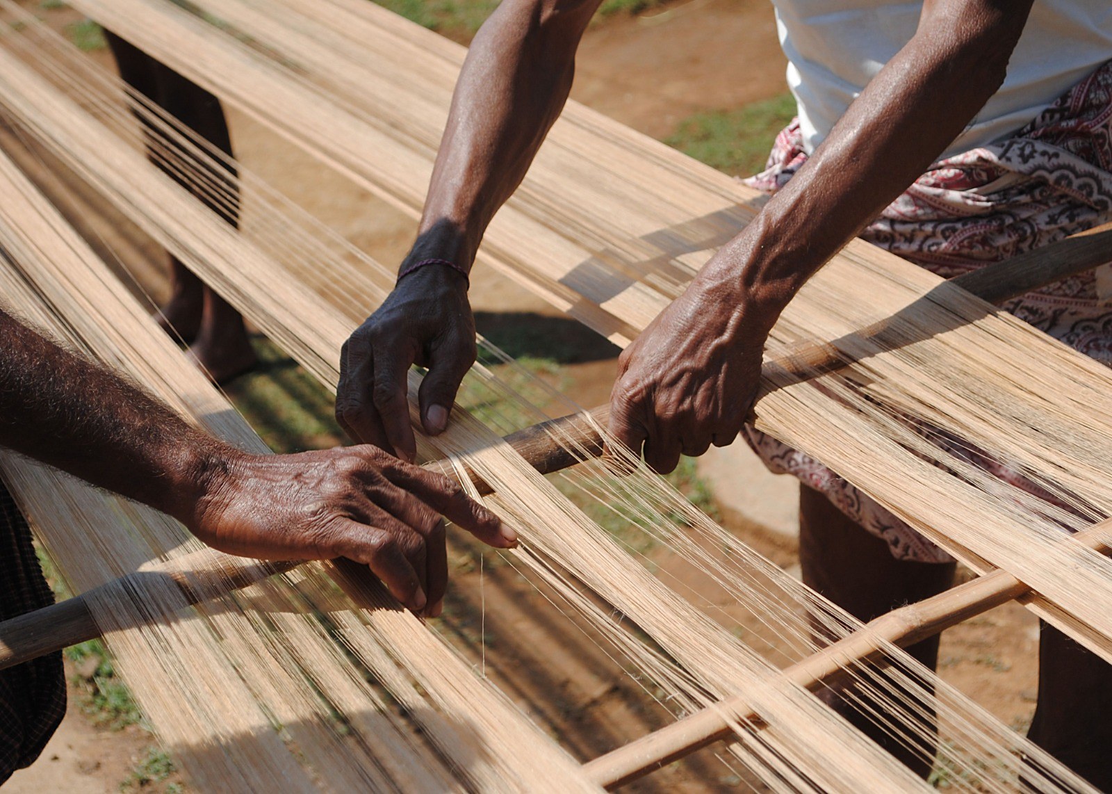 Two pairs of hands aligning silk warp threads on a traditional handloom