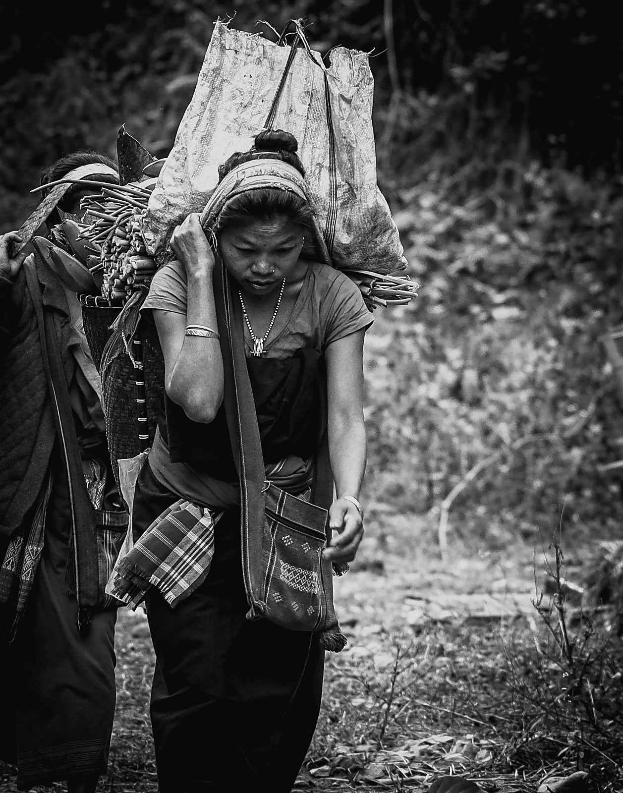 A woman carrying bamboo and firewood along a forest path, in black and white